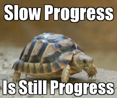 slow-progress-is-still-progress